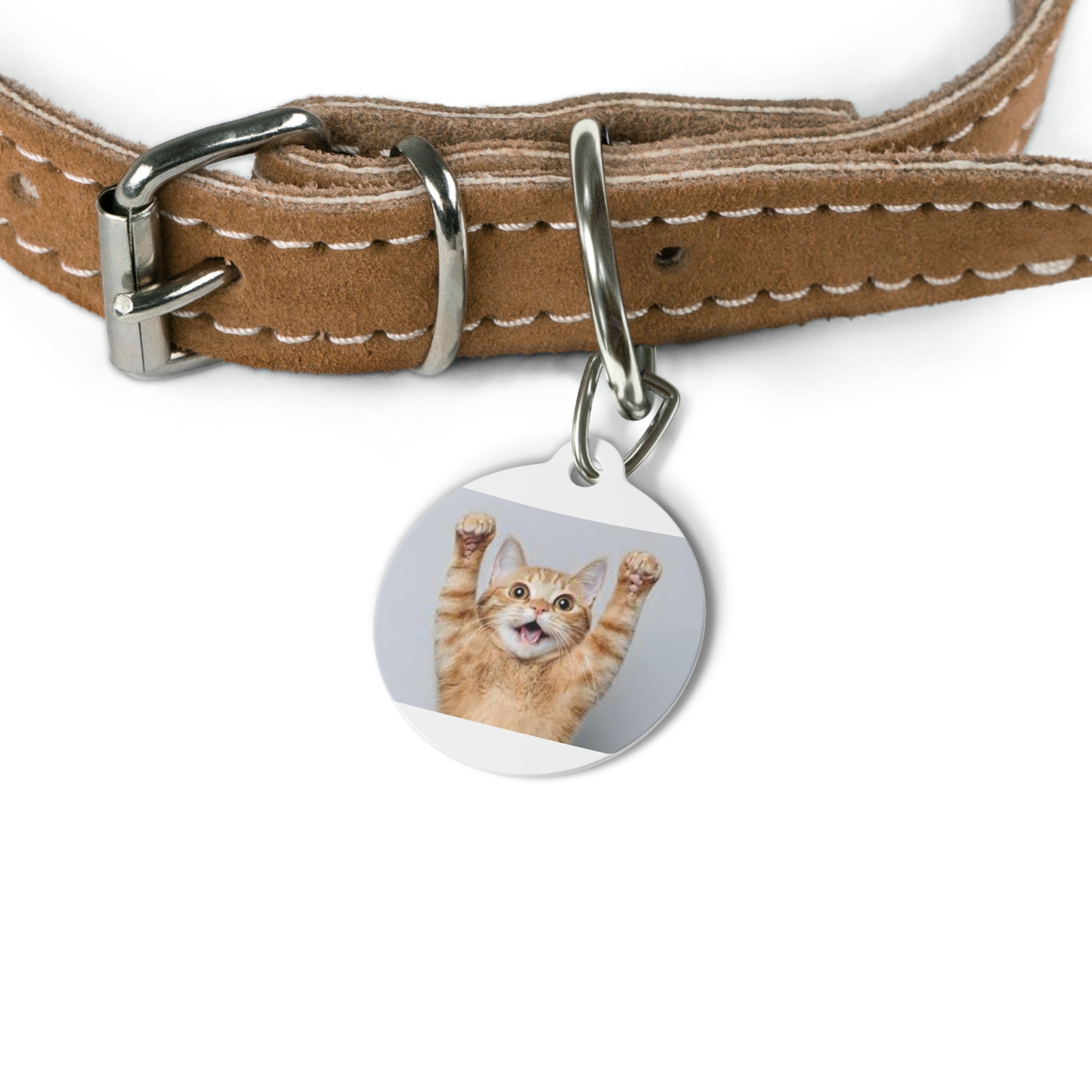 Personalized Pet ID Tag
