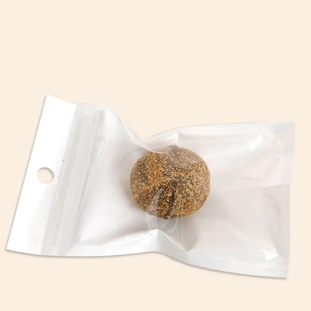 Interactive Catnip Spring Cat Toy