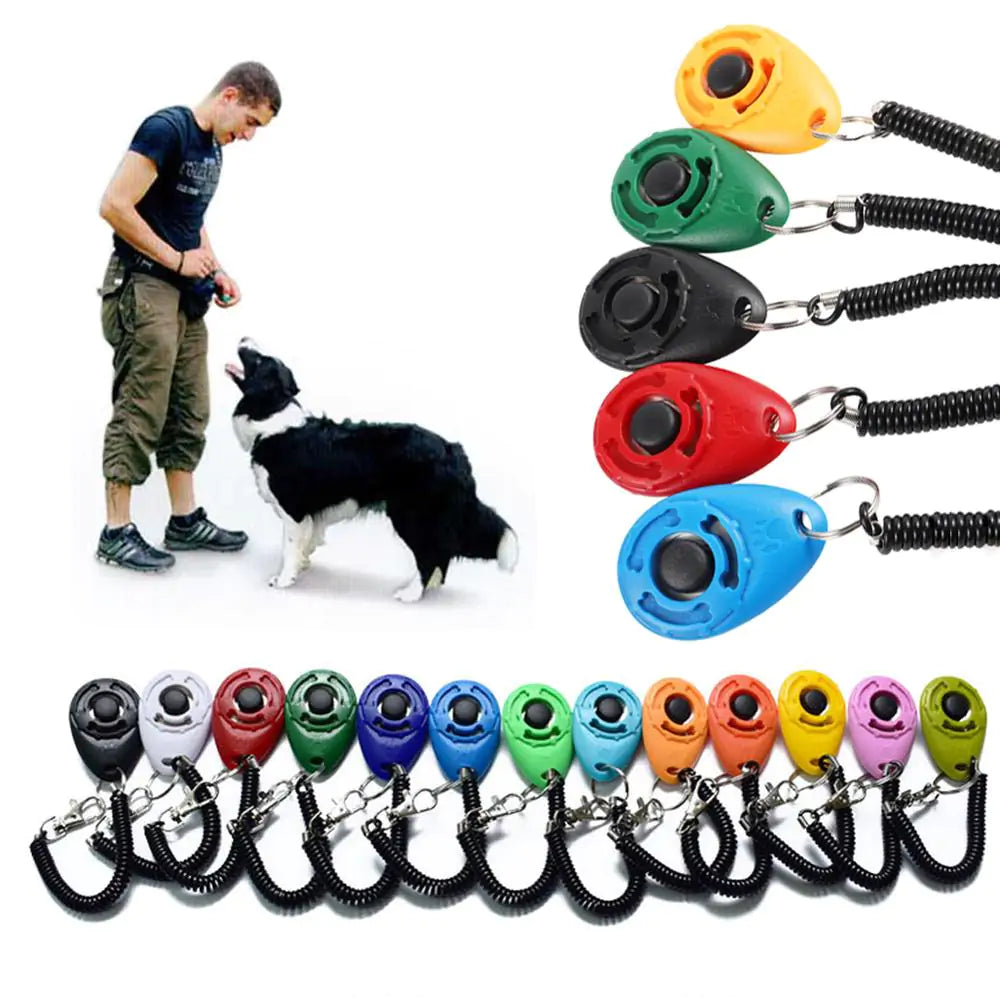 Dog Training Adjustable Wrist Strap Key