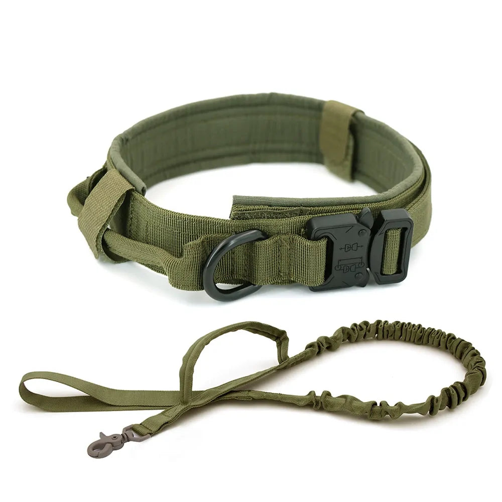 Military Adjustable Dog Collar