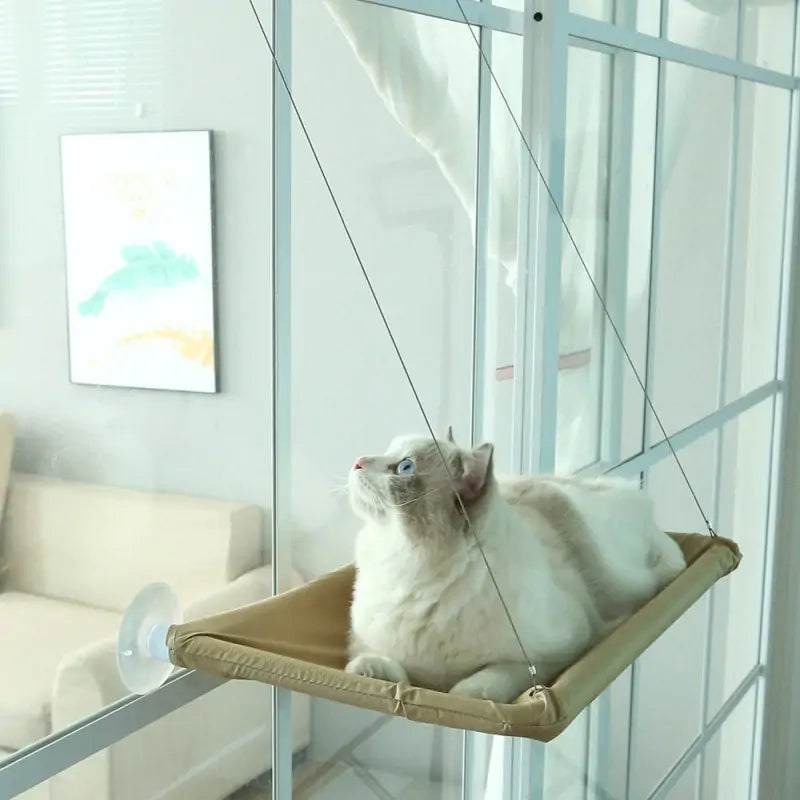 Cat Hanging Beds