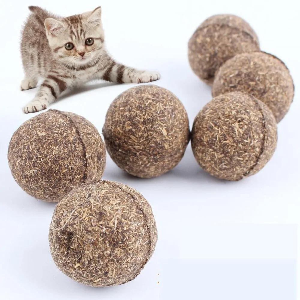 Interactive Catnip Spring  Cat Toy